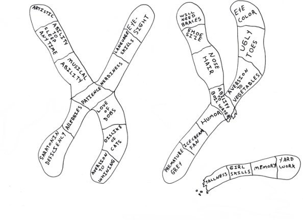 Missing piece of chromosome Missing piece of chromosome